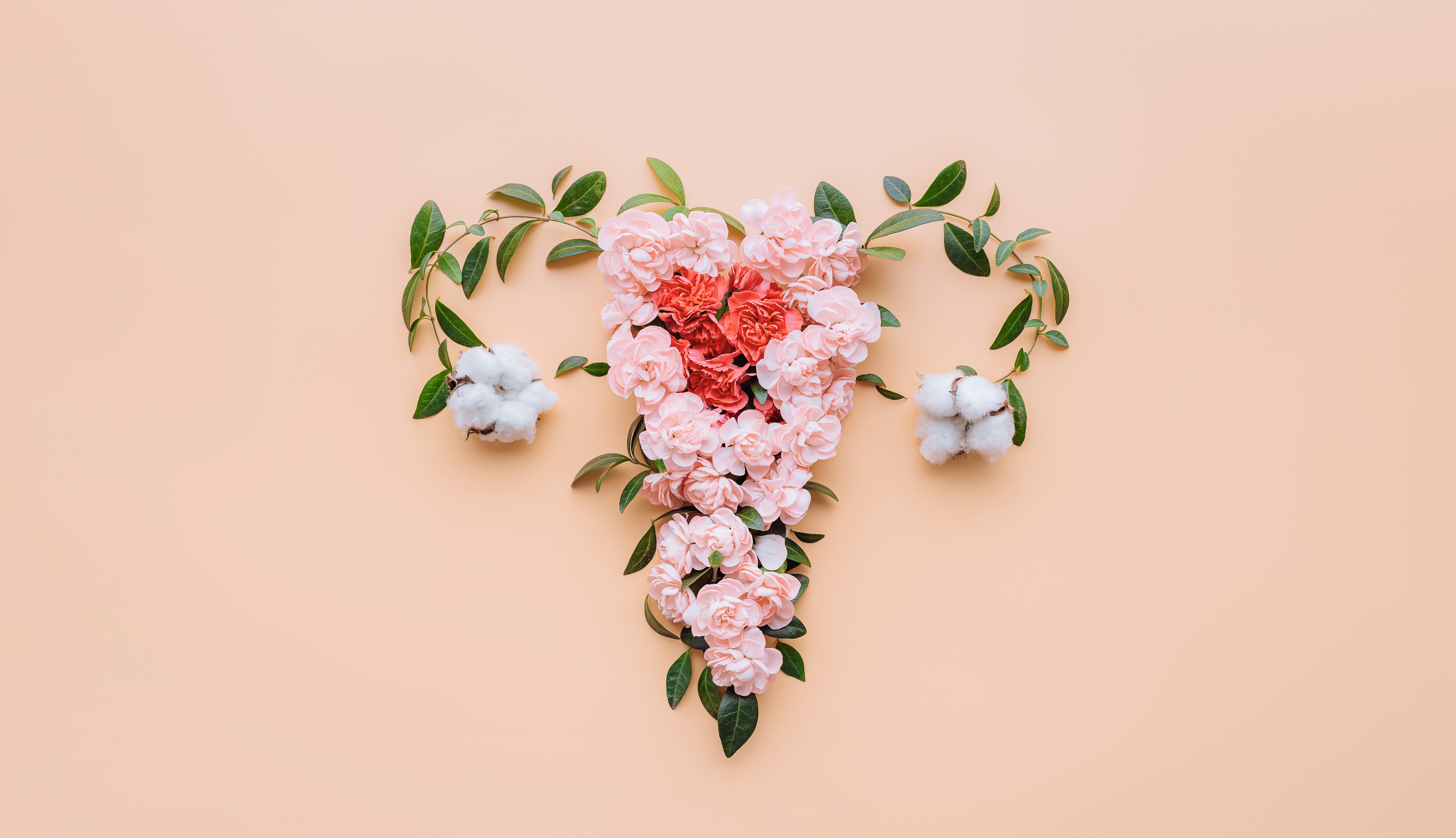 Fertility Support